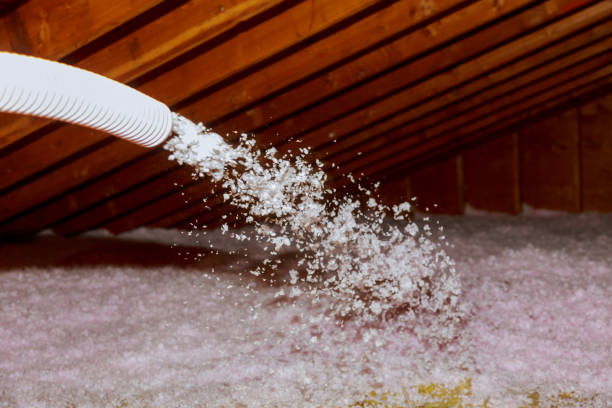 Best Insulation for New Construction  in Minonk, IL