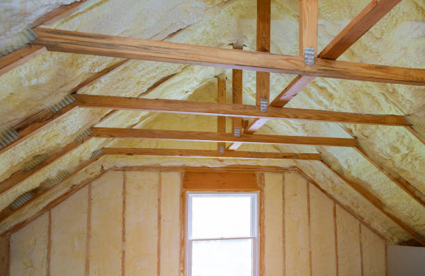 Best Spray Foam Insulation  in Minonk, IL