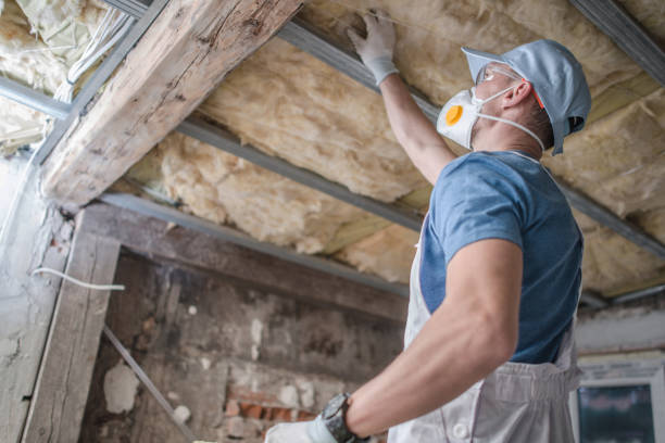 Best Insulation Removal  in Minonk, IL