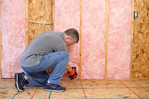 Best Insulation Replacement Services  in Minonk, IL